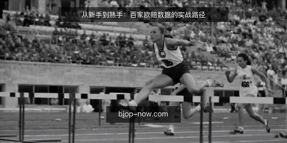 从新手到熟手：百家欧赔数据的实战路径 — 初识欧赔：数据入口的困惑 配图