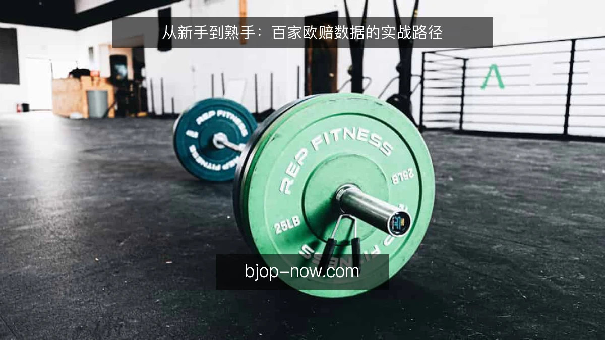 从新手到熟手：百家欧赔数据的实战路径