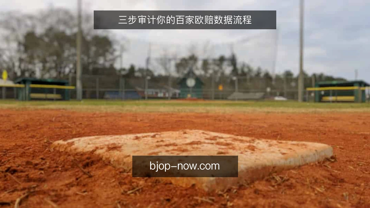 三步审计你的百家欧赔数据流程