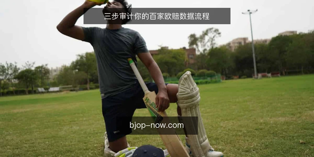 三步审计你的百家欧赔数据流程 — 为什么现在要审计欧赔数据流程 配图