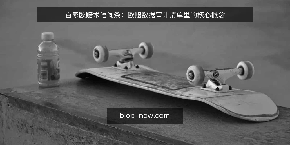 百家欧赔术语词条：欧赔数据审计清单里的核心概念 — 为什么现在要审计术语 配图