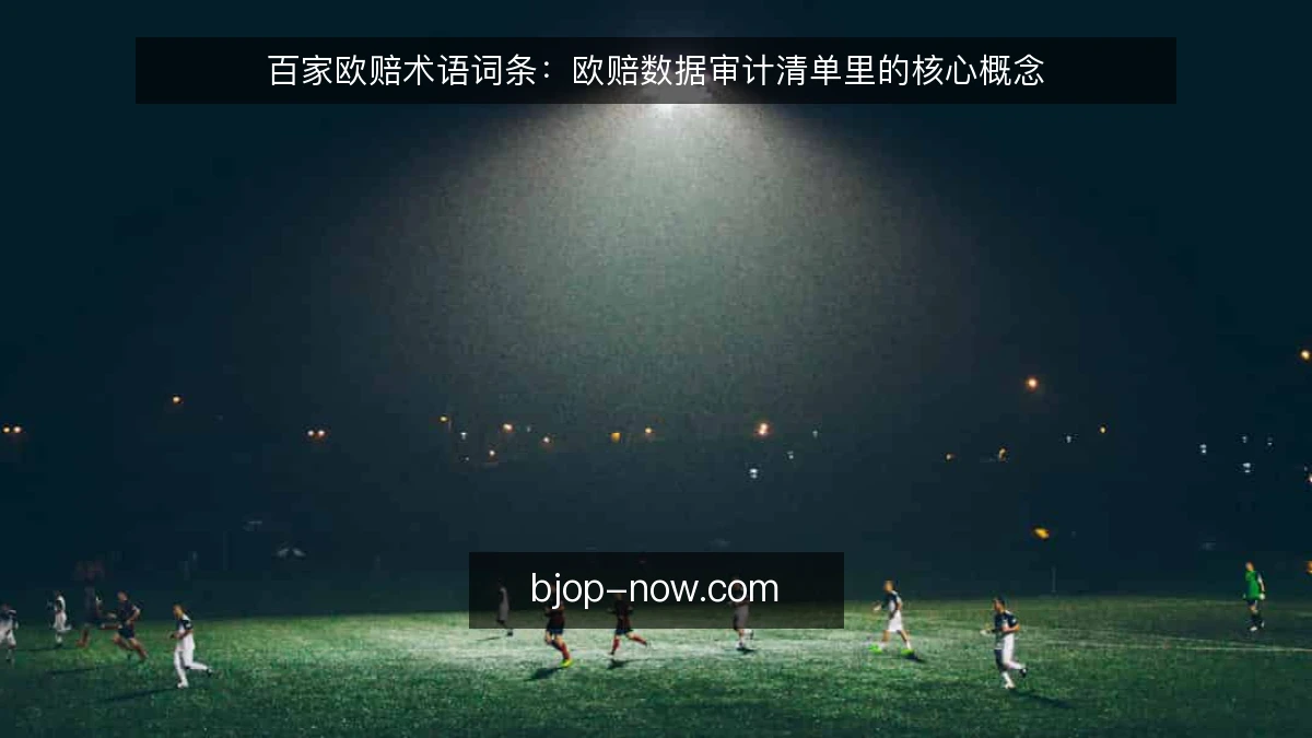 百家欧赔术语词条：欧赔数据审计清单里的核心概念