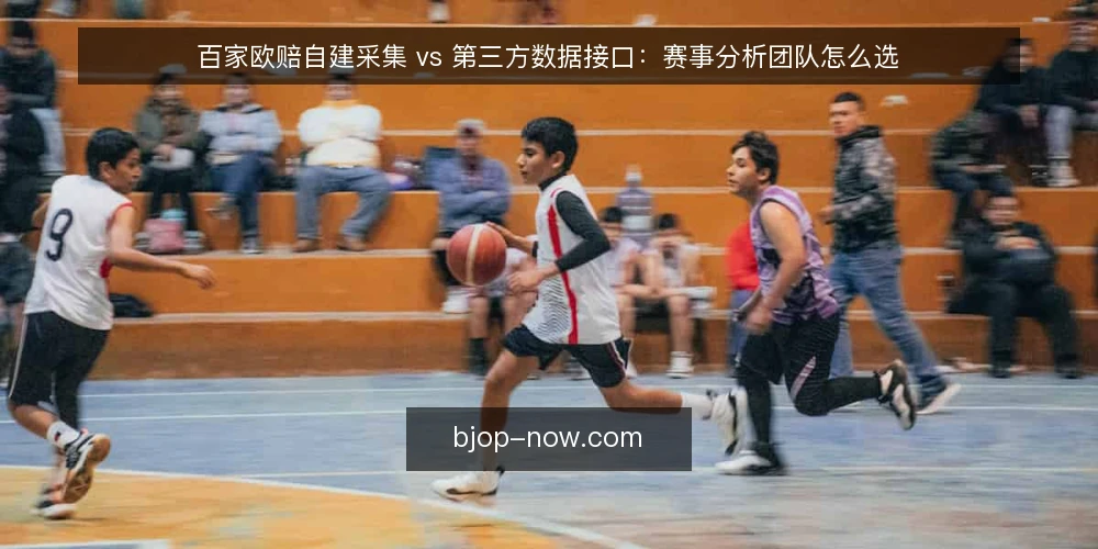 百家欧赔自建采集 vs 第三方数据接口：赛事分析团队怎么选 — 先定选型标准：用哪些维度判断百家欧赔数据方案 配图